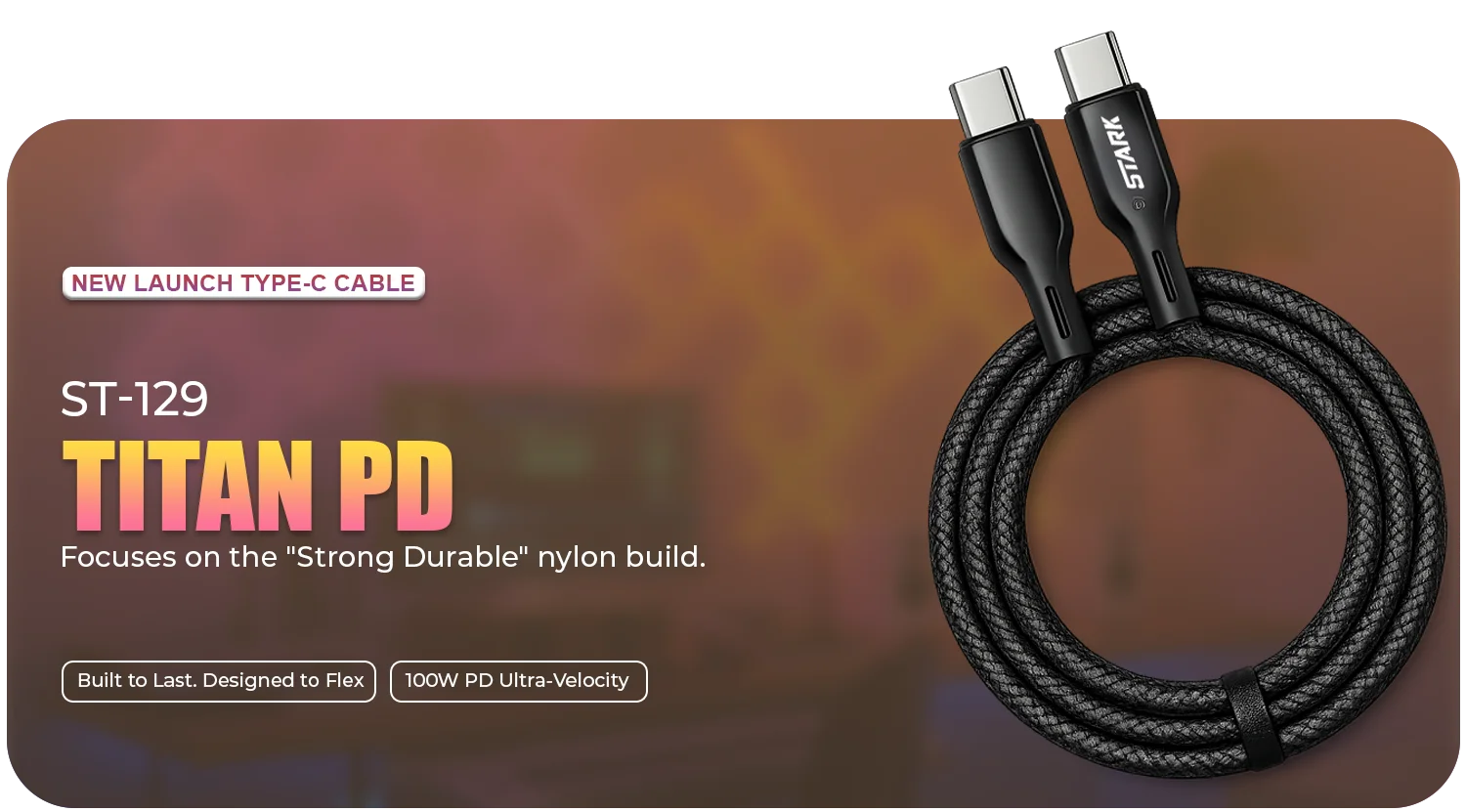 Type C Cable copy